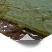 Poster Photo de la nature de dalles rocheuses couvertes d (Coin)