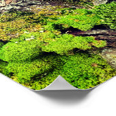 Poster photo de la nature de la mousse et de l'éco (Coin)
