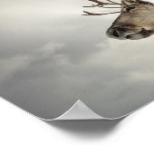 Poster Photo de la nature des rennes (Coin)