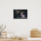 Poster Photo de la nature du lapin (Cuisine)