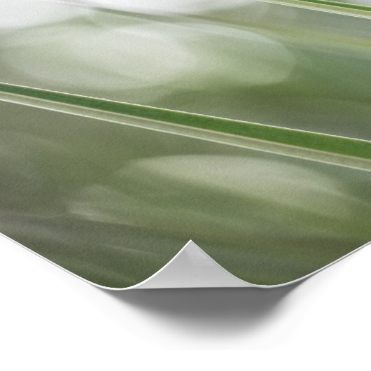 Poster Photo de la nature Plante verte (Coin)