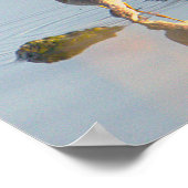Poster photo de la réflexion Seabird (Coin)
