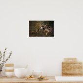 Poster photo de la tortue (Cuisine)