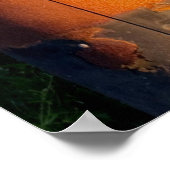 Poster Photo de la vieille pompe à essence (Coin)