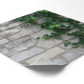 Poster Photo de la vigne de brique blanche (Coin)