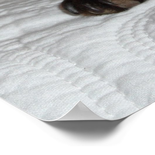 Poster photo de l'affiche chihuahua chiot marron endormi (Coin)