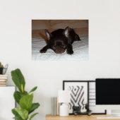 Poster photo de l'affiche chihuahua chiot marron endormi (Bureau à domicile)
