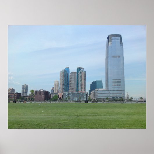 Poster Photo de l'affiche LSP (Devant)