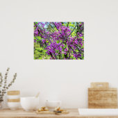 Poster photo de l'arbre Redbud Missouri (Cuisine)