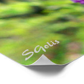 Poster photo de l'arbre Redbud Missouri (Coin)