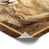 Poster Photo de Lion Blanc (Coin)