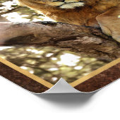Poster Photo de lion dans un arbre (Coin)