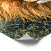 Poster Photo de lion Peinture image (Coin)