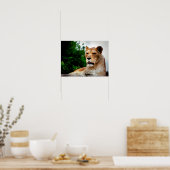Poster Photo de Lioness (Cuisine)