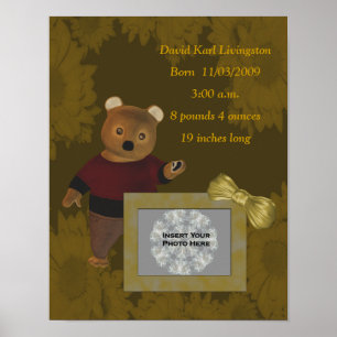 Poster photo de l'ours migre