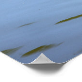 Poster photo de Mallard Duck (Coin)