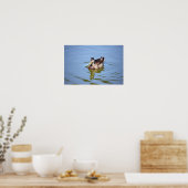 Poster photo de Mallard Duck (Cuisine)