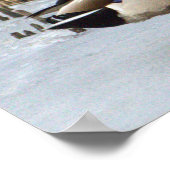 Poster photo de Mallard Duck (Coin)
