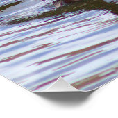 Poster photo de Mallard Ducks (Coin)