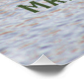 Poster photo de Mallard Ducks (Coin)