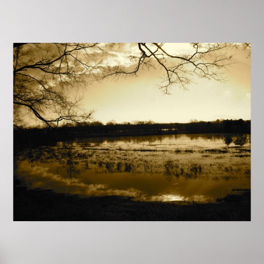 Poster Photo de marais (Devant)