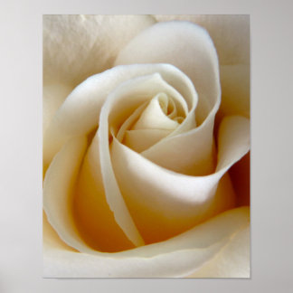Poster Photo de mariage aux roses crème
