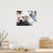 Poster Photo de mignon chien blanc fatigué avec meilleur  (Cuisine)
