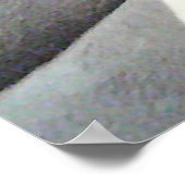 Poster Photo de mignon Chien blanc observant papa (Coin)