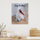 Poster Photo de mignon chien de l'eau potable Motivationa (Cuisine)