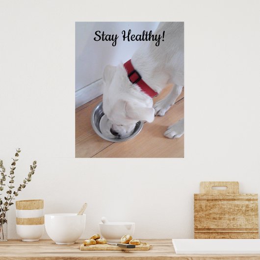 Poster Photo de mignon chien de l'eau potable Motivationa (Cuisine)