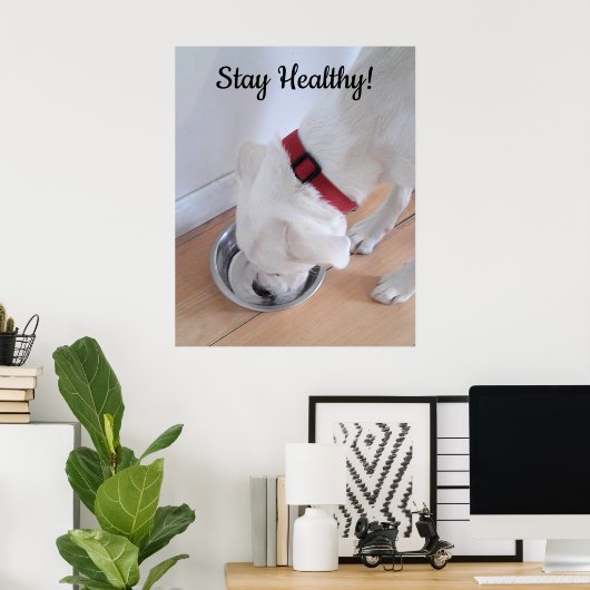 Poster Photo de mignon chien de l'eau potable Motivationa (Bureau à domicile)