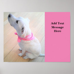 Poster Photo de mignon chien levrette Ajouter le texte ro