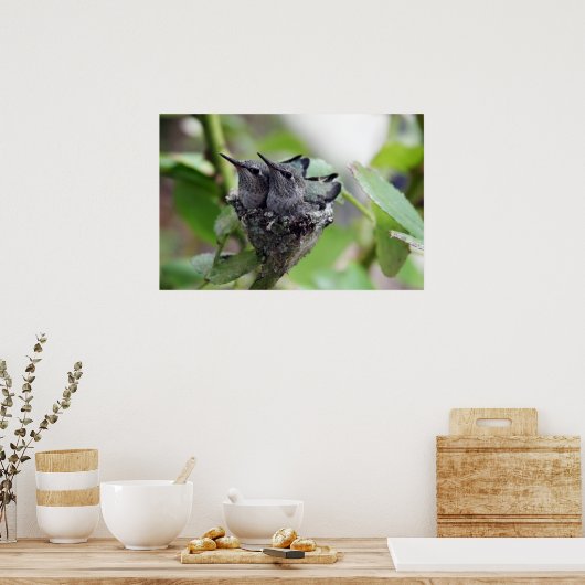 Poster Photo de mignons colibris (Cuisine)