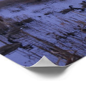 Poster photo de Misty Marsh (Coin)