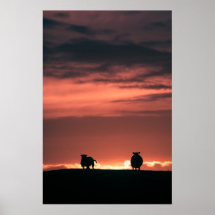 Poster Photo de moutons au coucher de soleil naturel