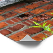 Poster photo de Murs et Arches en briques rouges (Coin)