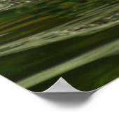 Poster Photo de natation Jaguar (Coin)