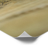 Poster Photo de nature morte rustique de pommes de pin su (Coin)