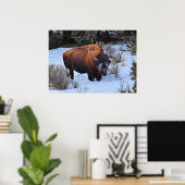 Poster Photo de neige de Buffalo (Bureau à domicile)