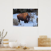 Poster Photo de neige de Buffalo (Cuisine)