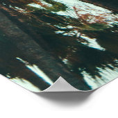 Poster Photo de palmiers verts (Coin)