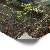 Poster photo de Park Path (Coin)