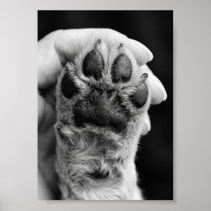 Poster Photo de patte personnalisé 5 par 7 Photo de souve