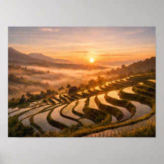 Poster Photo de paysage du lever de soleil sur les rizièr