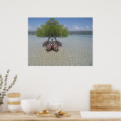 Poster Photo de Porto Rico Illusion (Cuisine)