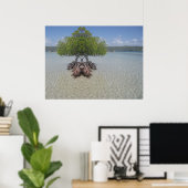 Poster Photo de Porto Rico Illusion (Bureau à domicile)