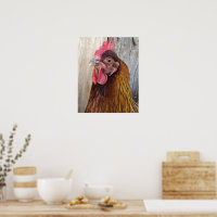 Photo de poule rouge