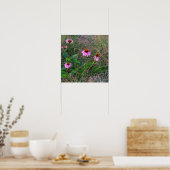 Poster photo de Purple Coneflowers (Cuisine)