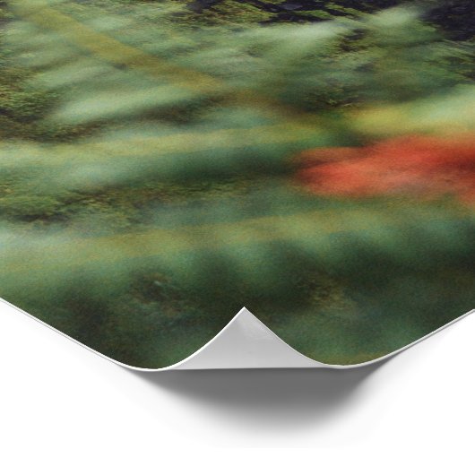 Poster photo de Rainforest Waterfall (Coin)