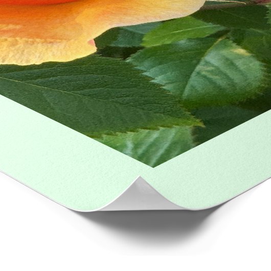 Poster photo de Rosebud (Coin)